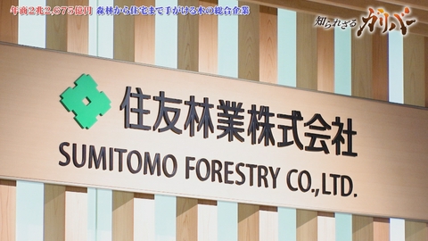 知られざるガリバー～エクセレントカンパニーファイル～ 高層ビルの木造化を実現する耐震耐火技術！無花粉スギや廃材燃料で持続可能な未来へ挑む 住友林業