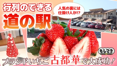 日経スペシャル　もしものマネー道　もしマネ 行列ができる道の駅SP！奈良ブランド苺＆京都で唯一の村が作る“お茶”
