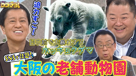 ウラマヨ！ 街デミー賞 ～天王寺編～