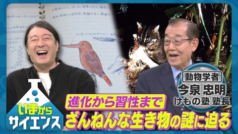 いまからサイエンス 進化から習性まで！動物学のエキスパート 動物学者 今泉忠明（けもの塾 塾長）