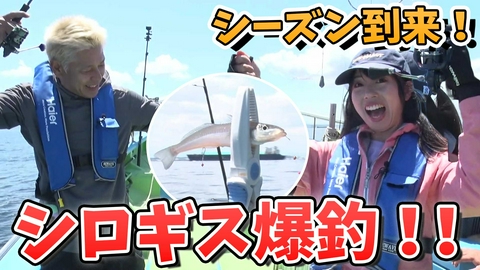 田村亮の釣りならまかせろ！ 海の女王シロギス開幕！釣って楽しい♪食べて美味しい♡ シロギス釣りならまかせろ！