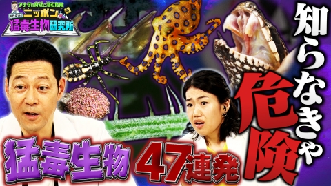 アナタの身近に潜む危険 東野幸治のニッポン猛毒生物研究所 触るなキケン！身近に潜む激ヤバ毒物を徹底調査