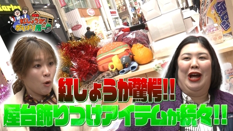 紅しょうがのがんばり屋～台 めざせ！熊本のプロです 2月15日(土)放送