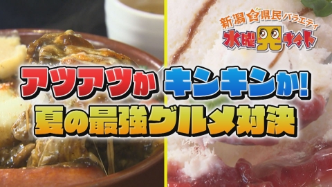 新潟全県民バラエティ 水曜見ナイト ～アツアツかキンキンか！夏の最強グルメ対決～