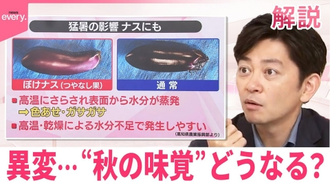 日テレNEWSセレクト 【#みんなのギモン】異変…“秋の味覚”どうなる？