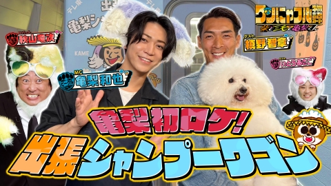 世界を救う！ワンにゃフル物語～柴と三毛と亀梨くん～ MC：亀梨和也！日本初！美濃柴犬出産＆保護猫50匹馬24頭の大家族