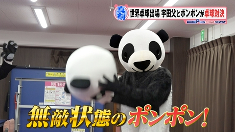 ＷＥＥＫＬＹ　ＰＩＮＧ　ＰＯＮＧ　ＮＥＷＳ 世界卓球 日本代表・宇田幸矢パパVSポンポン 卓球対決！