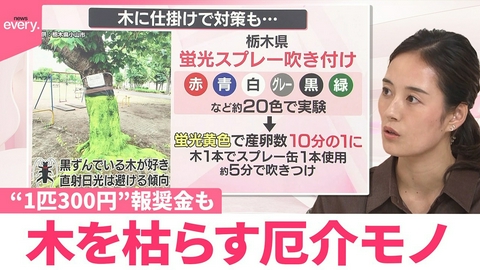 日テレNEWSセレクト 【なるほどッ！】桃や梅ピンチ 木を枯らす厄介モノ“1匹300円”報奨金も