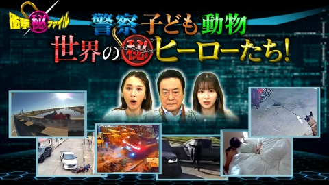 世界が騒然！本当にあった(秘)衝撃ファイル 衝撃映像