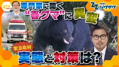 サタデーLIVE ニュース ジグザグ 【緊急取材】冬眠明け“春グマ”に異変　市街地に出没多発　実態と対策は？
