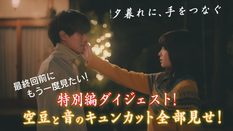 夕暮れに、手をつなぐ TBS系 火曜ドラマ 夕暮れに、手をつなぐ オリジナル・サウンド