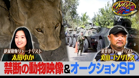 クレイジージャーニー 大好評企画クレイジーアーカイブに絶滅動物ジャーナリスト太田ゆか初登場！▽夏イベントの様子も公開！
