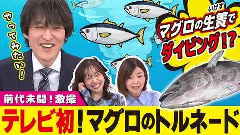 千原ジュニアの愛知あたりまえワールド☆～あなたの街に新仰天！～ マグロの生け簀にダイブできる新ツアー!!テレビ初公開・“マグロトルネード”の絶景