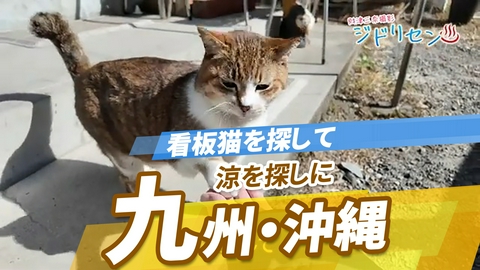 ニッポン"街ネタ"集めました。 全国ぶらり旅　九州沖縄編　夏におすすめ