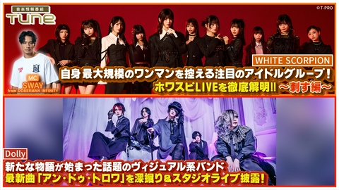 Tune WHITE SCORPION LIVEを徹底解明！！～刺す編～