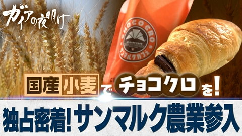 ガイアの夜明け 国産小麦でチョコクロを！サンマルク 農業に挑む