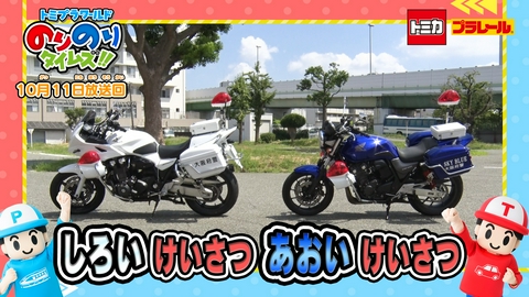 トミプラワールド　のりのりタイムズ!! しろバイならぬ「あおバイ」＆けいはん
