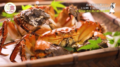 ネイチャーワールド高知　奇跡の美食ツーリズム #33