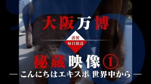 EXPO'70～動画で振り返る1970年の大阪万博～ こんにちはエキスポ 世界