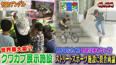 噂の！東京マガジン ストリートスポーツ専用施設に賛否
