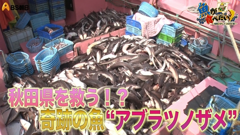 魚が食べたい！ ～地魚さがして3000港～ 秋田の漁業を救うだろうお魚が大漁!!SNSで人気の漁師！