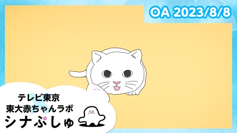 シナぷしゅ