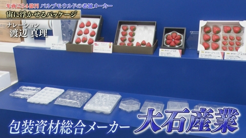 知られざるガリバー～エクセレントカンパニーファイル～ イチゴも傷つかない！？繊細な製品を包む梱包技術と環境資材で日本の物流を支える 大石産業