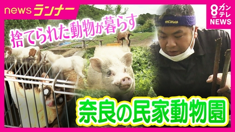 newsランナー 【密着】「引き取った限りは最終飼育」捨てられた動物50匹が暮らす小さな家　保護続ける男性の思い　ブームの裏で飼育放棄の現実　犬猫以外を専門に保護　奈良・下市町