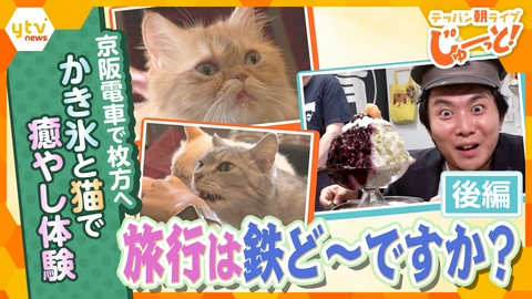 テッパン朝ライブ じゅーっと！ 旅行は鉄ど～ですか？【後編】 ～京阪電車で枚方へ かき氷と猫で癒し体験～