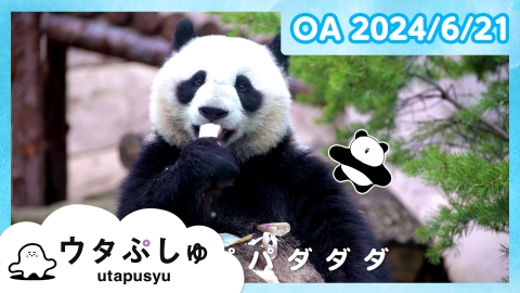 シナぷしゅ ウタぷしゅ