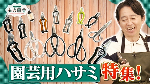 夢が咲く 有吉園芸～Road to start a garden shop～ 奥深き園芸用ハサミを大特集
