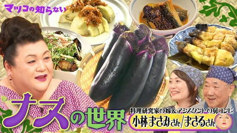 マツコの知らない世界 「ナスの世界」