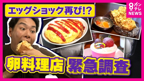 newsランナー 卵の値段高騰の中で「“500円”でオムライス食べ放題」「卵15個サンド」奮闘する卵料理店を調査！クオリティ維持のため「家を解約」　学生のために値上げ拒否の店主も