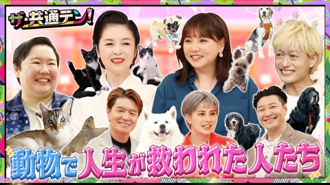 ザ・共通テン！ 動物に救われた人集合＆やす子塚田僚一お買い物