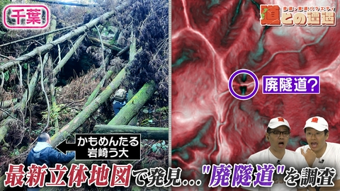 道との遭遇 【千葉・房総半島】最新立体地図から発見？"廃隧道らしきもの"を現地調査