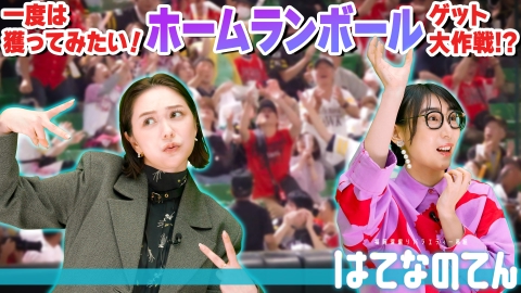 はてなのてん 一度は捕ってみたい！ホームランボールゲット大作戦⁉