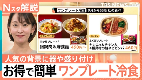 TBS NEWS DIG Powered by JNN 「ワンプレート冷食」急成長の裏に企業努力【Nスタ】