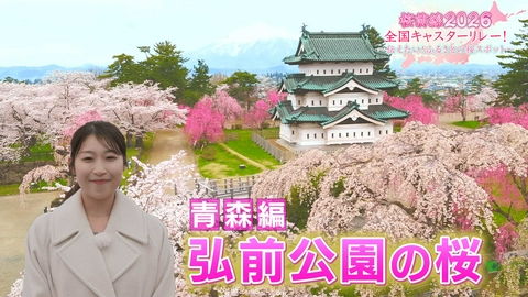 桜前線2026 全国キャスターリレー！ ～伝えたい！ふるさとの桜スポット～ 青森編「弘前公園の桜」