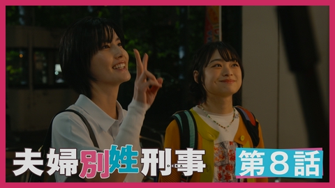 夫婦別姓刑事