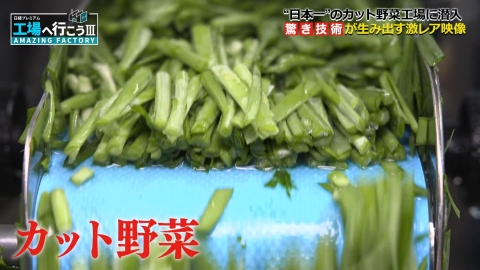 工場へ行こう III　AMAZING FACTORY 食卓のつよ～い味方！カット野菜“日本一”の工場に潜入SP