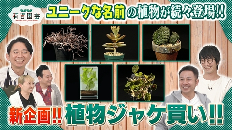 夢が咲く 有吉園芸～Road to start a garden shop～ 新企画！名前のイメージで植物をジャケ買い