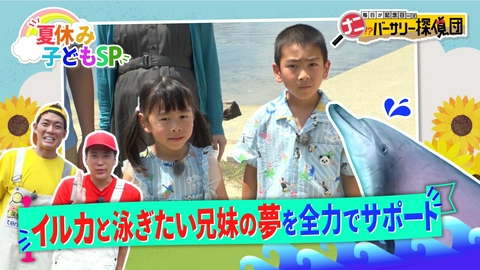 かんさい情報ネットten.「ナニバーサリー」 大捜索…人生初の海でイルカと泳ぎたい！5歳と7歳の兄妹の挑戦！