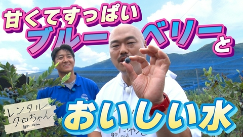 レンタルクロちゃん シーズン２４ 個性派オーナーとブルーベリー狩りだしん！