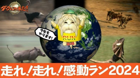 ダーウィンが来た! 9月1日(日)放送分 「走れ!走れ!生きものたちの感動