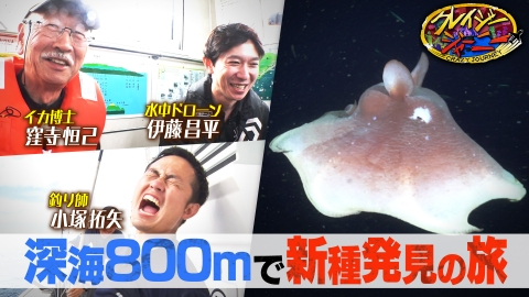 小藪千豊 サイン色紙 相席食堂 相席食堂｜過去の放送内容｜朝日放送テレビ