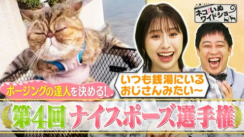 ネコいぬワイドショー 第4回ネコいぬナイスポーズ選手権/命の現場…野良ネコの緊急出産に密着