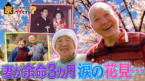 家、ついて行ってイイですか？ 桜の木の下で「来世も一緒に…」闘病妻と夫の涙の物語