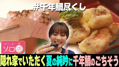 かごしまソロ活 隠れ家でいただく夏の純吟に千年鯛のごちそう