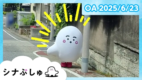 シナぷしゅ シナぷしゅ公式25/06/23