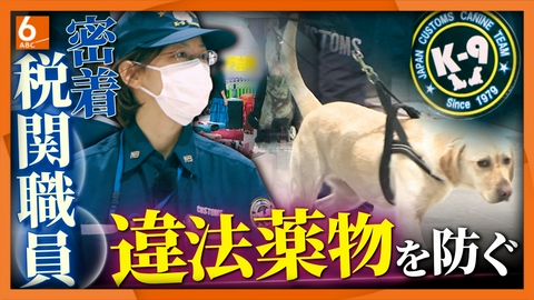 newsおかえり 【密着！税関職員】違法薬物などの密輸を水際で防げ！　関西空港　麻薬探知犬チームの女性リーダーに密着　
